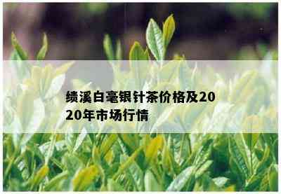 绩溪白毫银针茶价格及2020年市场行情