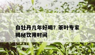 白牡丹几年好喝？茶叶专家揭秘饮用时间