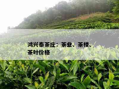 鸿兴泰茶庄：茶业、茶楼、茶叶价格