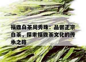 福鼎白茶周秀珠：品尝正宗白茶，探索福鼎茶文化的传承之路