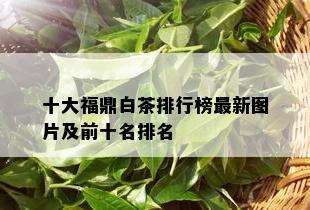 十大福鼎白茶排行榜最新图片及前十名排名