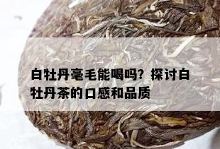 白牡丹毫毛能喝吗？探讨白牡丹茶的口感和品质