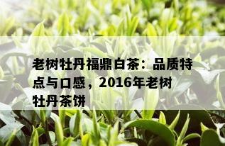 老树牡丹福鼎白茶：品质特点与口感，2016年老树牡丹茶饼