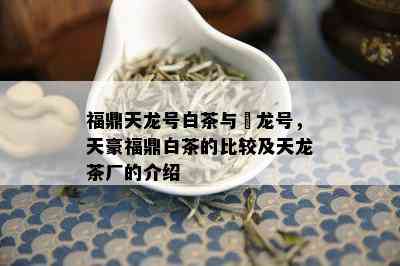 福鼎天龙号白茶与磻龙号，天豪福鼎白茶的比较及天龙茶厂的介绍