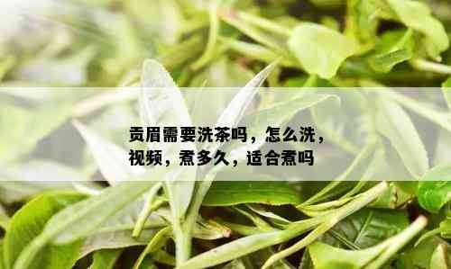 贡眉需要洗茶吗，怎么洗，视频，煮多久，适合煮吗