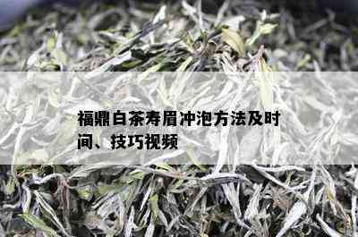 福鼎白茶寿眉冲泡方法及时间、技巧视频