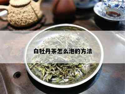 白牡丹茶怎么泡的方法