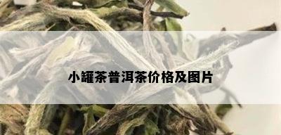 小罐茶普洱茶价格及图片