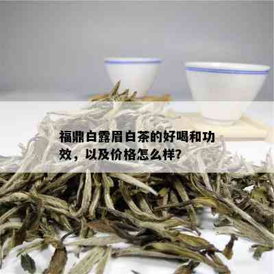 福鼎白露眉白茶的好喝和功效，以及价格怎么样？