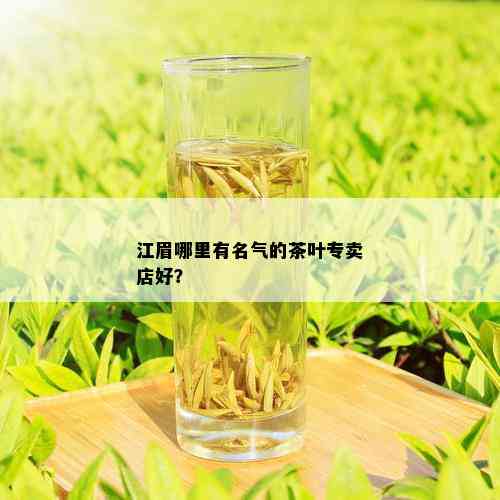 江眉哪里有名气的茶叶专卖店好？