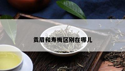 贡眉和寿梅区别在哪儿