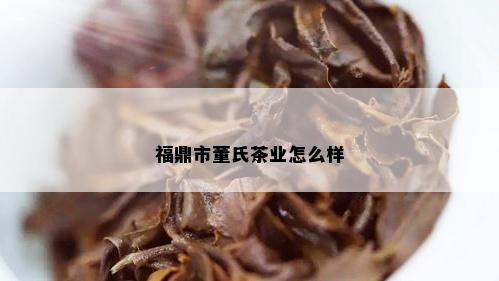 福鼎市董氏茶业怎么样