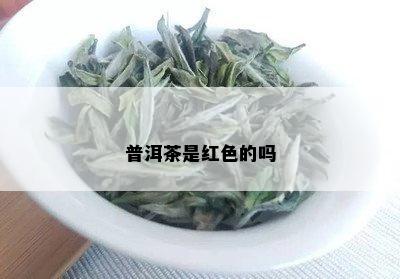 普洱茶是红色的吗