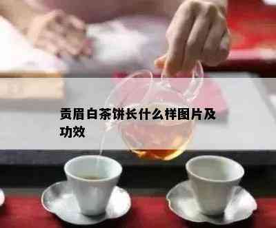 贡眉白茶饼长什么样图片及功效