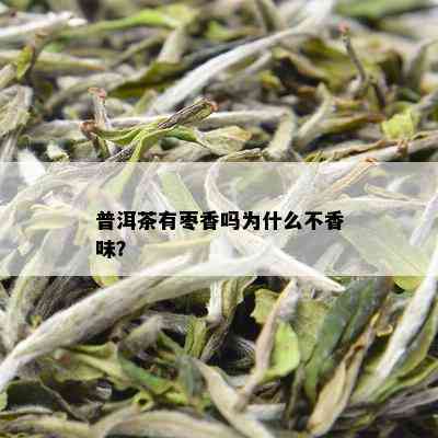 普洱茶有枣香吗为什么不香味？