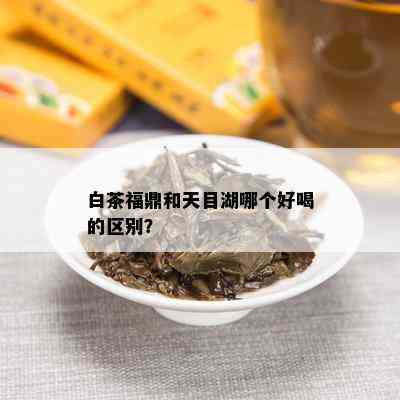 白茶福鼎和天目湖哪个好喝的区别？