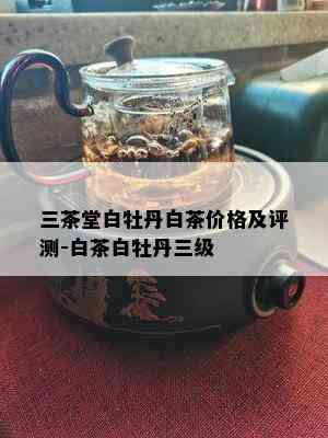 三茶堂白牡丹白茶价格及评测-白茶白牡丹三级