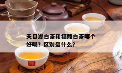 天目湖白茶和福鼎白茶哪个好喝？区别是什么？