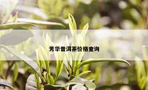 芳华普洱茶价格查询