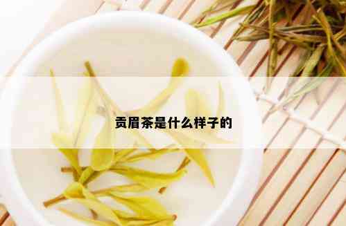 贡眉茶是什么样子的