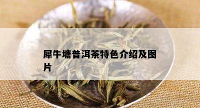 犀牛塘普洱茶特色介绍及图片