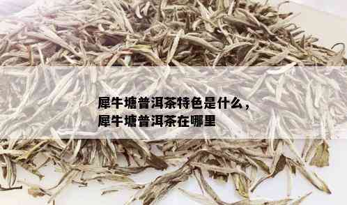 犀牛塘普洱茶特色是什么，犀牛塘普洱茶在哪里