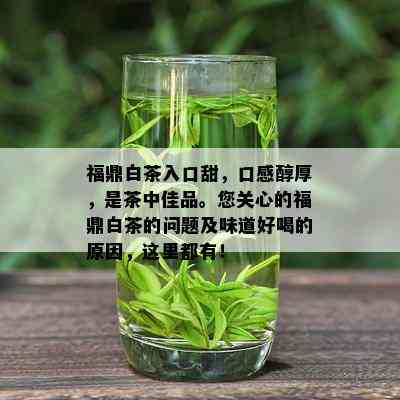 福鼎白茶入口甜，口感醇厚，是茶中佳品。您关心的福鼎白茶的问题及味道好喝的原因，这里都有！