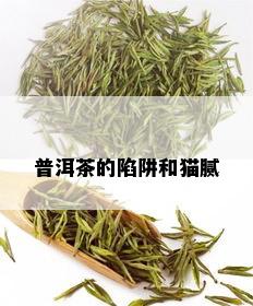 普洱茶的陷阱和猫腻