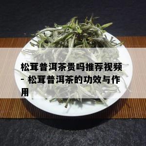 松茸普洱茶贵吗推荐视频 - 松茸普洱茶的功效与作用