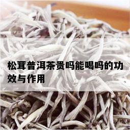 松茸普洱茶贵吗能喝吗的功效与作用