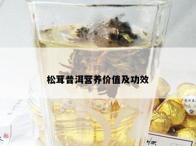 松茸普洱营养价值及功效