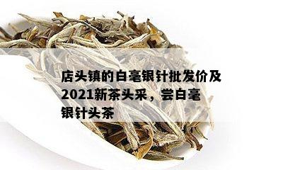 店头镇的白毫银针批发价及2021新茶头采，尝白毫银针头茶