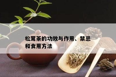 松茸茶的功效与作用、禁忌和食用方法