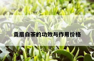 贡眉白茶的功效与作用价格