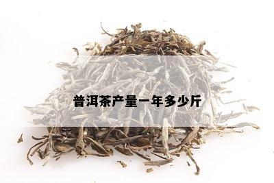 普洱茶产量一年多少斤