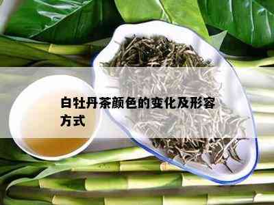 白牡丹茶颜色的变化及形容方式