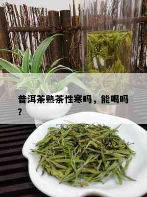 普洱茶熟茶性寒吗，能喝吗？