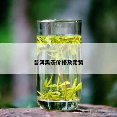 普洱黑茶价格及走势