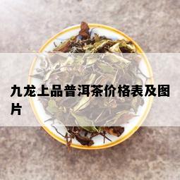 九龙上品普洱茶价格表及图片