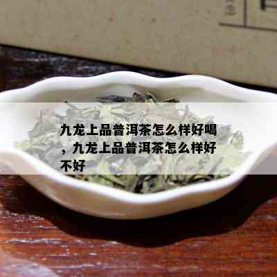 九龙上品普洱茶怎么样好喝，九龙上品普洱茶怎么样好不好