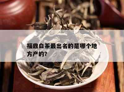 福鼎白茶最出名的是哪个地方产的？