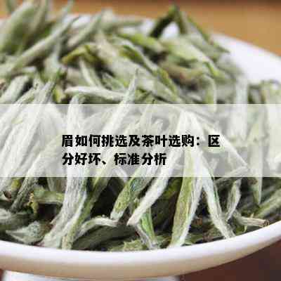 眉如何挑选及茶叶选购：区分好坏、标准分析