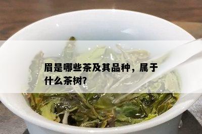 眉是哪些茶及其品种，属于什么茶树？