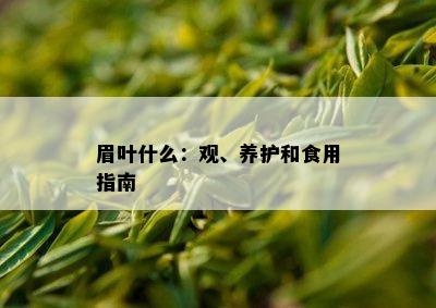 眉叶什么：观、养护和食用指南