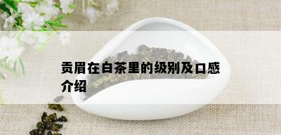 贡眉在白茶里的级别及口感介绍