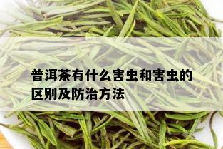 普洱茶有什么害虫和害虫的区别及防治方法