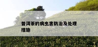 普洱茶的病虫害防治及处理措施