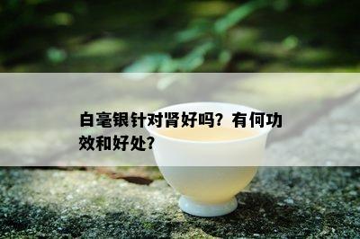 白毫银针对肾好吗？有何功效和好处？