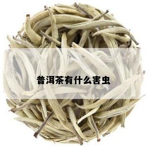 普洱茶有什么害虫