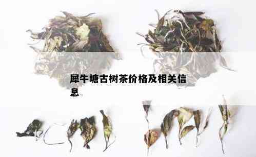 犀牛塘古树茶价格及相关信息